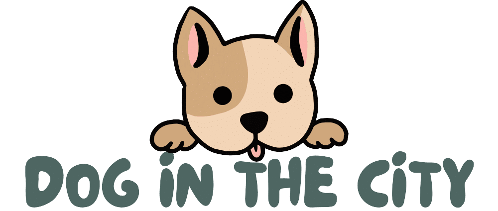 Dog in the city